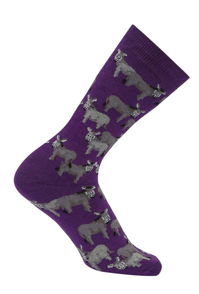 AWST Int'l Donkey Love Socks 6 pack