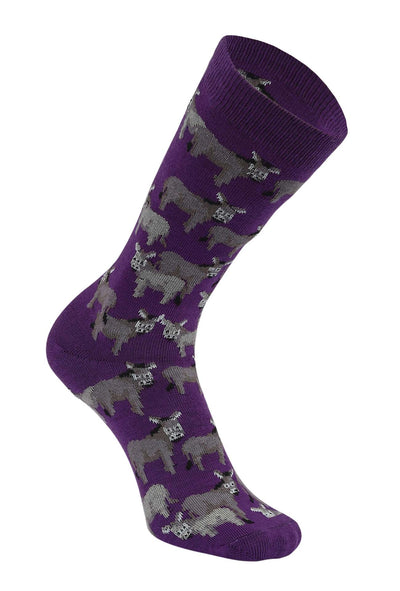 AWST Int'l Donkey Love Socks 6 pack