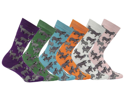 AWST Int'l Donkey Love Socks 6 pack