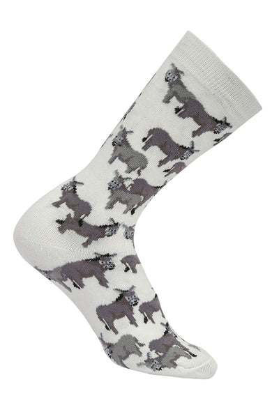 AWST Int'l Donkey Love Socks 6 pack