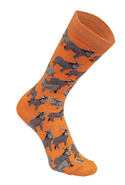 AWST Int'l Donkey Love Socks 6 pack