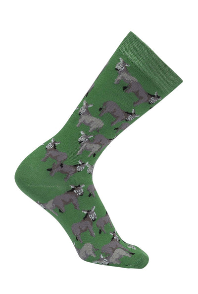 AWST Int'l Donkey Love Socks 6 pack