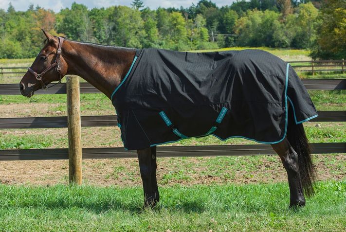 TuffRider Quarter Fleece Sheet - JPC Equestrian