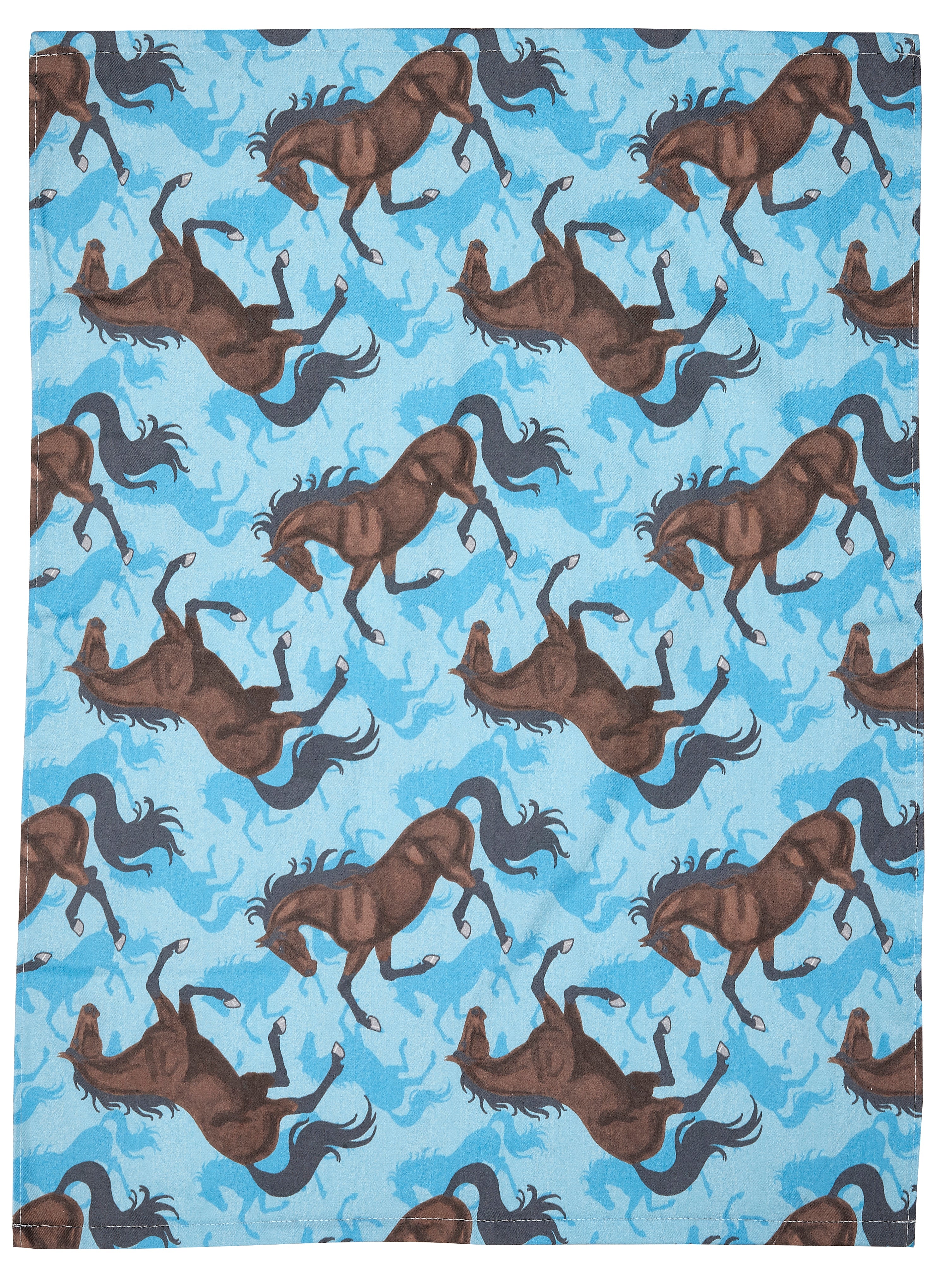 AWST Colorful Horseshoes Flour Sack Kitchen Towel